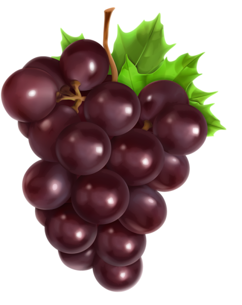 Виноград Clipart