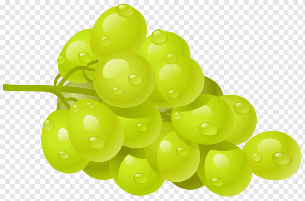 Фрукты на прозрачном фоне