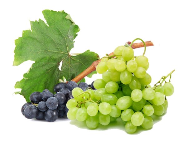 Виноград на белом фоне