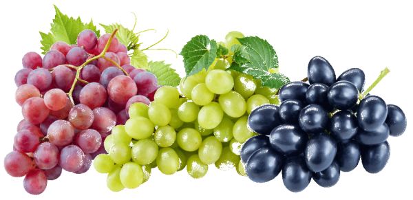 Фрукты виноград