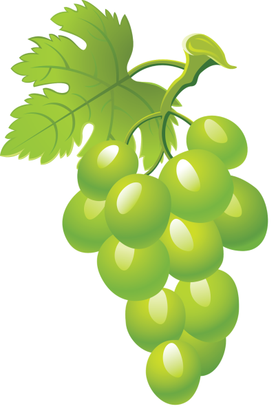 Виноград для дошкольников