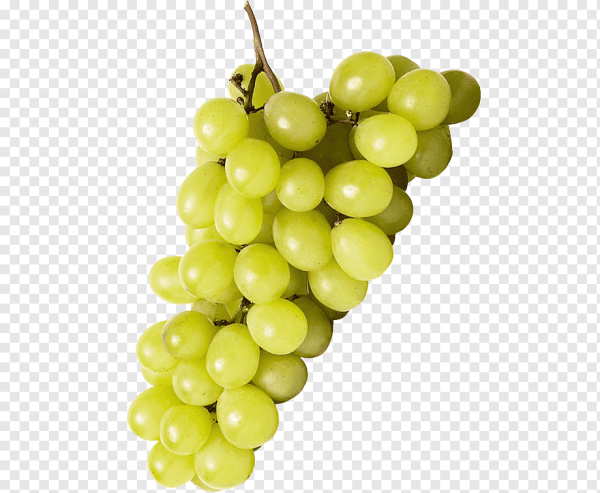 Гроздь винограда КИШ миг