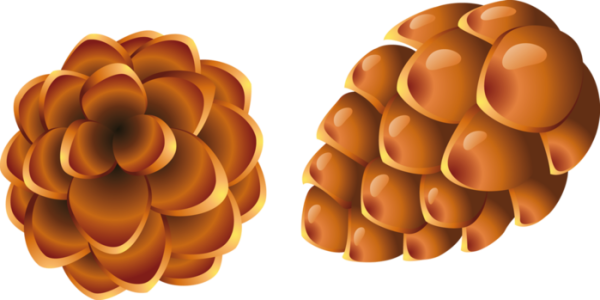 Шишки мультяшные