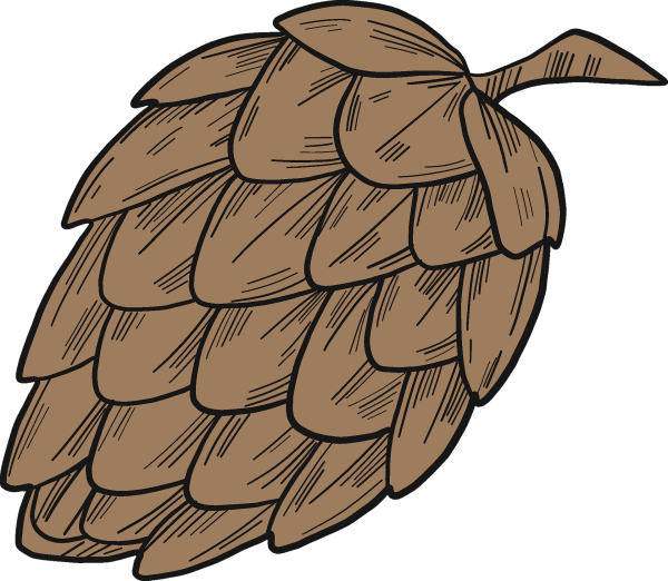 Шишка рисунок