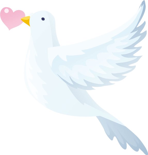 Мультяшные голуби