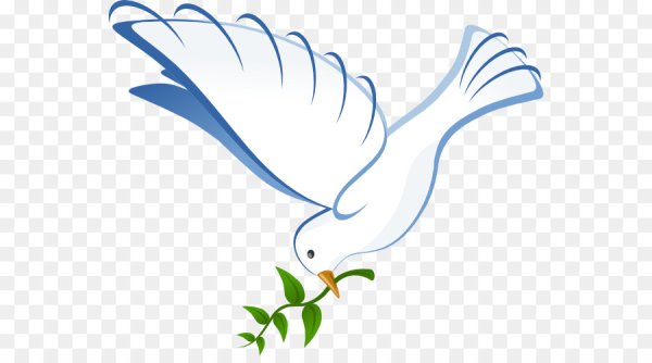 Птица с веточкой в клюве