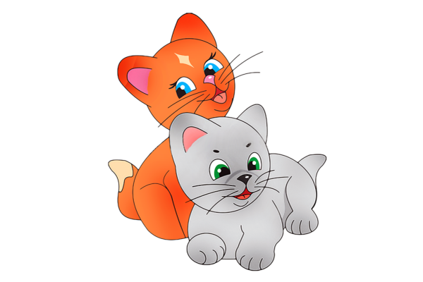 Отрисовка кошечка