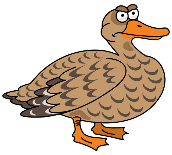 Утка клипарт