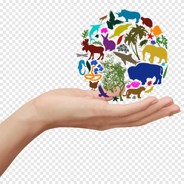 День биологического разнообразия