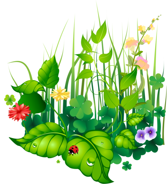 Лето клипарт