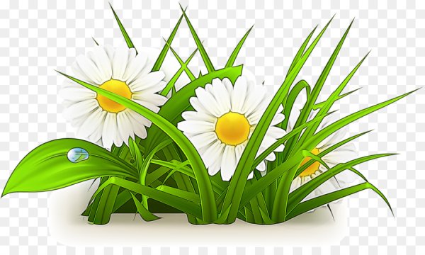 Трава вектор