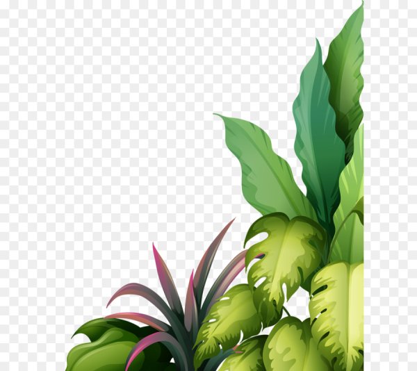 Растения вектор