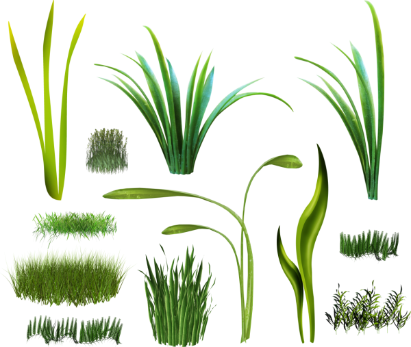 Стилизованная трава