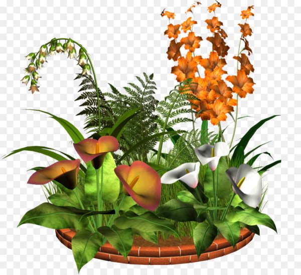 Цветы на клумбе на прозрачном фоне