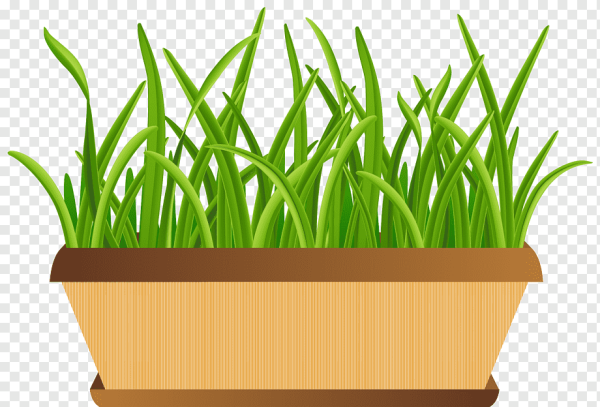 Горшок с цветами вектор