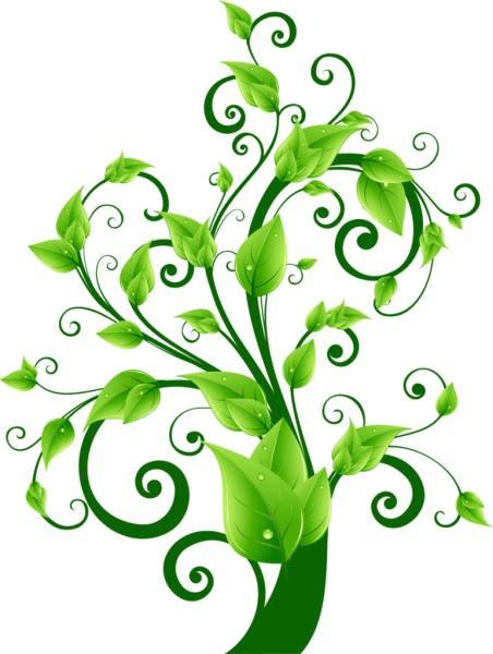 Зеленый узор