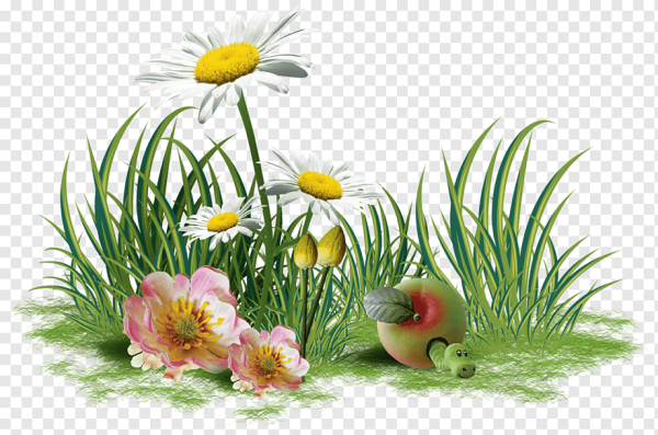 Трава из сказки