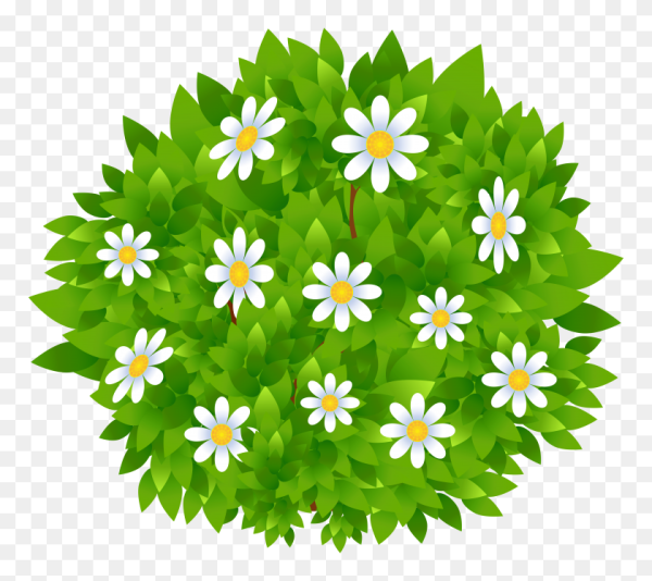 Куст мультяшное