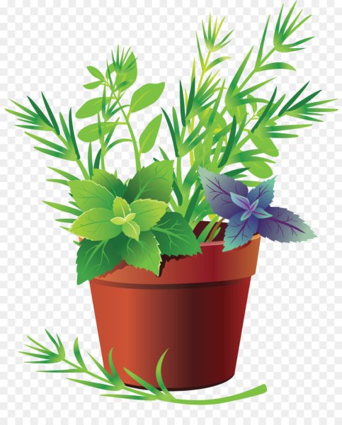 Векторные растения в горшке