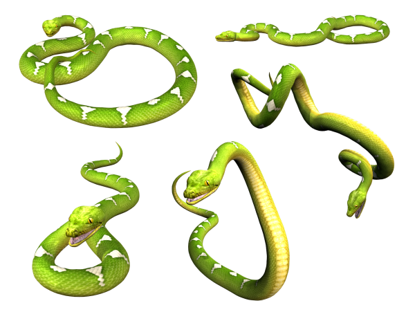 Змейка для детей