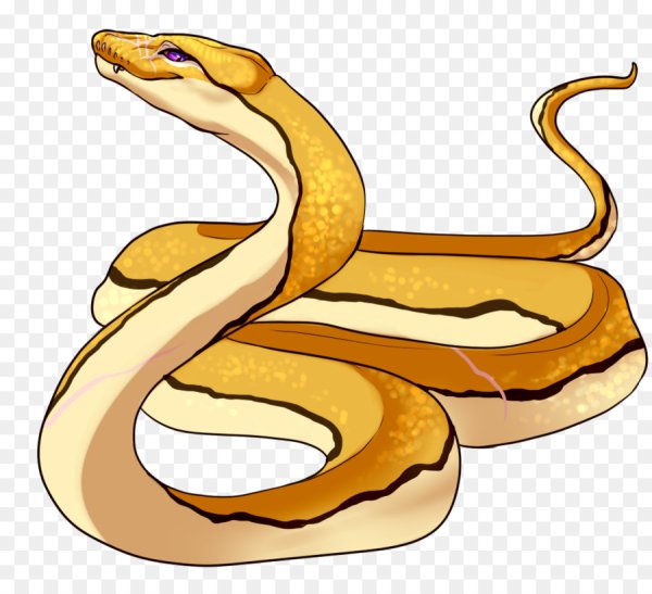 Змейка на прозрачном фоне