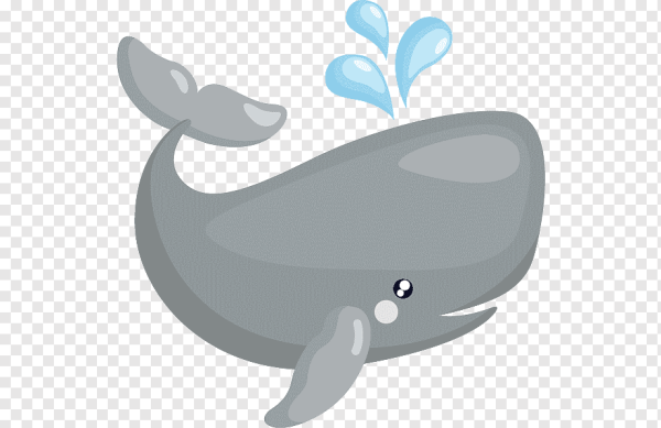 Киты мультяшные