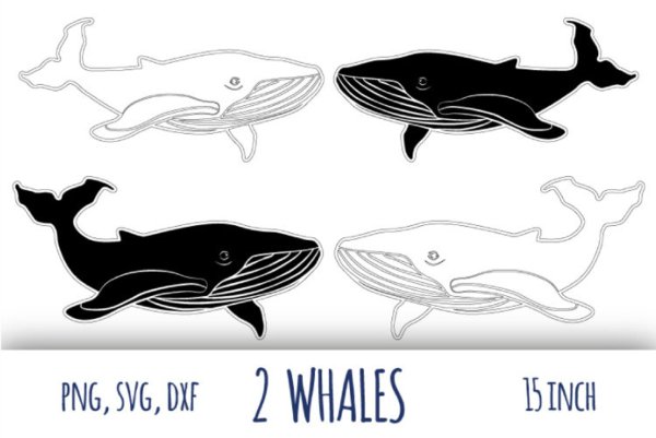 Кит белое наложение