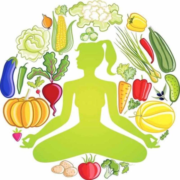 Здоровая еда здоровый организм