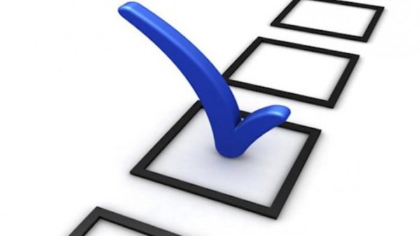 Галочка в бюллетене