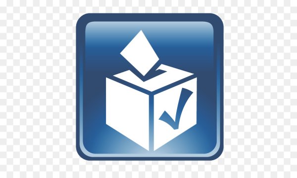 Выборы значок