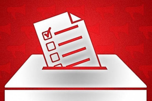 Выборы лого