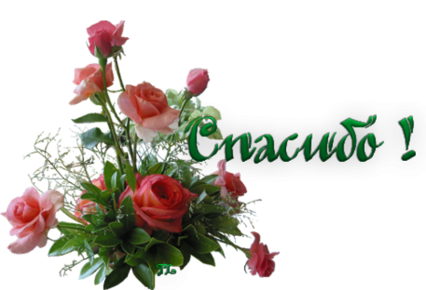 Слово спасибо