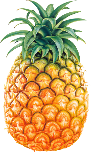 Ананас – Pineapple 2008, драма
