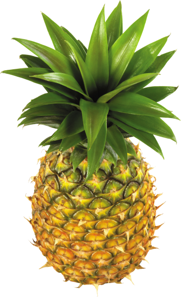 Pineapple PNG without background