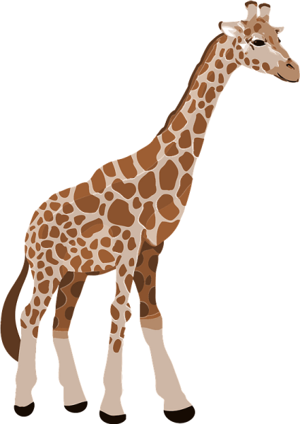 Жираф Жозе