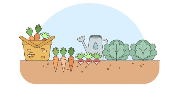 Нарисовать огород