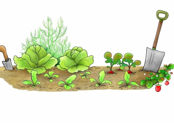 Огород мультяшные