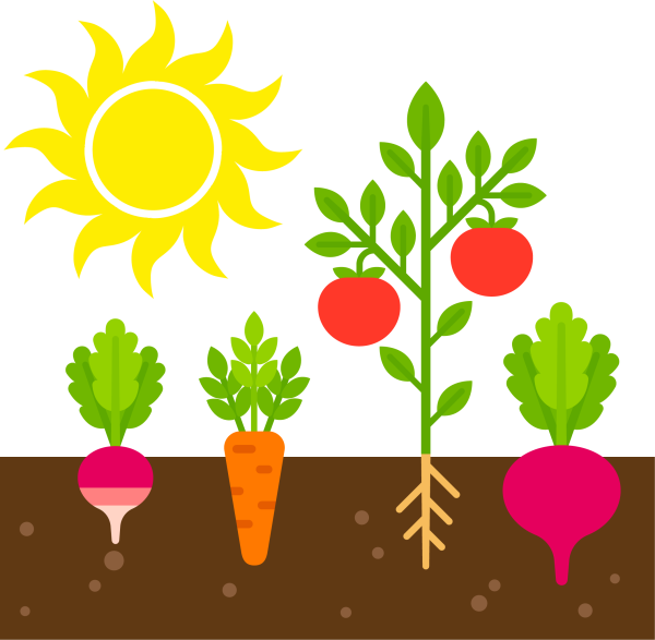 Овощи на грядке вектор