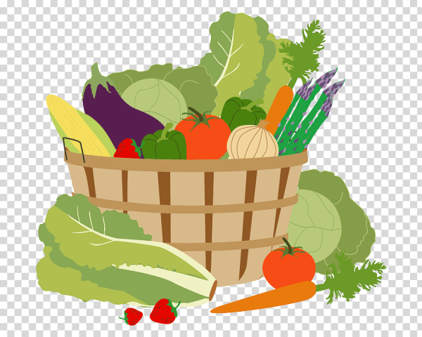 Сад огород вектор