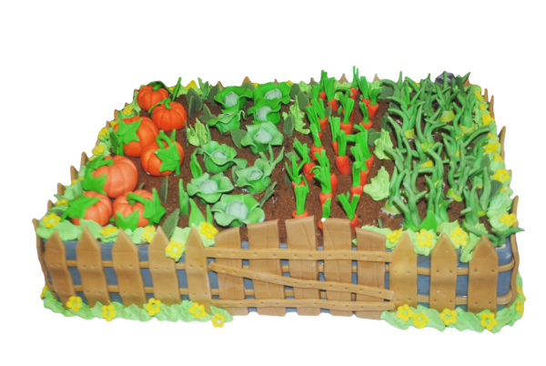 Овощи на грядке