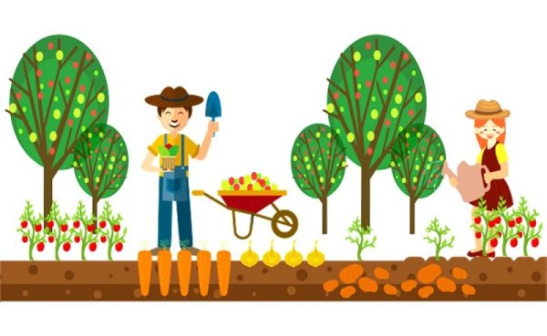 Урожай огорода в векторе