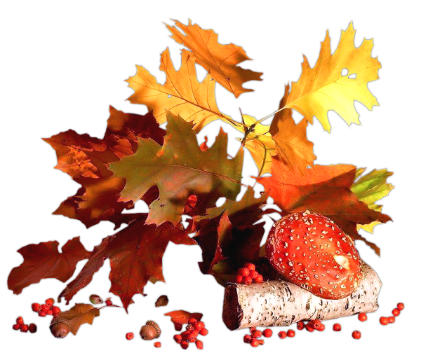 Ноябрь без фона