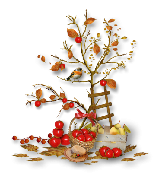 Осенние кластеры