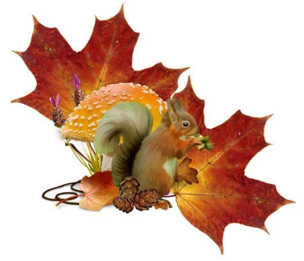 Осенние клипарты для фотошопа