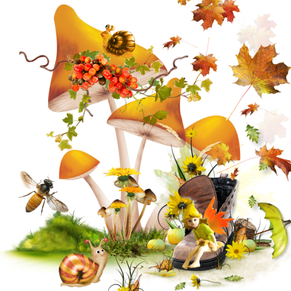 Осенний клипарт на прозрачном фоне