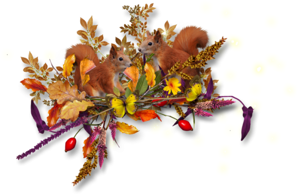 Осенние разделители