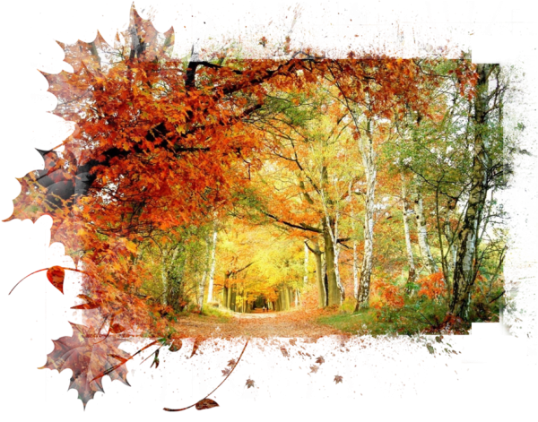 Осенний клипарт на прозрачном фоне