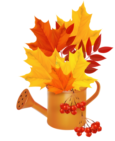 Осенние листья