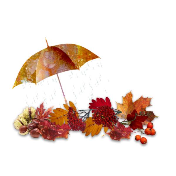 Осень клипарт