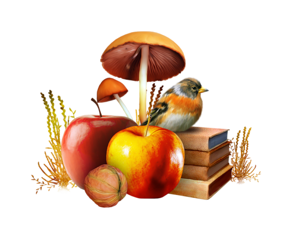 Атрибуты осени для детей